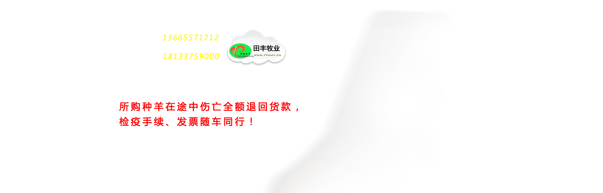 安徽省田豐牧業科技有限公司
